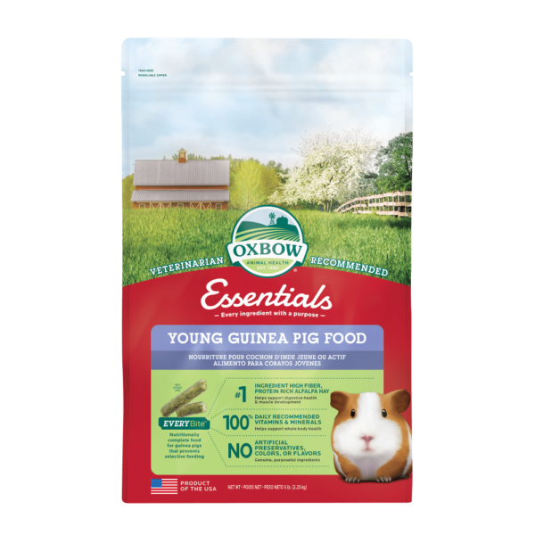 Guinea Pig Food Junior Glad Enterprises Ltd.