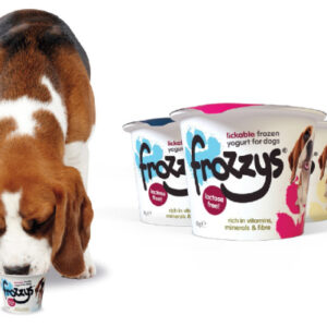 Frozzys Frozen Yogurt 85g Glad Enterprises Ltd