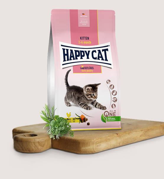 KITTEN PALLETS POULTRY