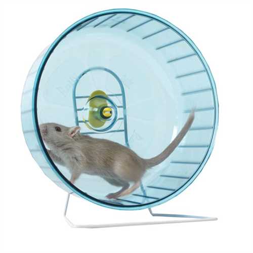 Rodents Rolly Giant Glad Enterprises