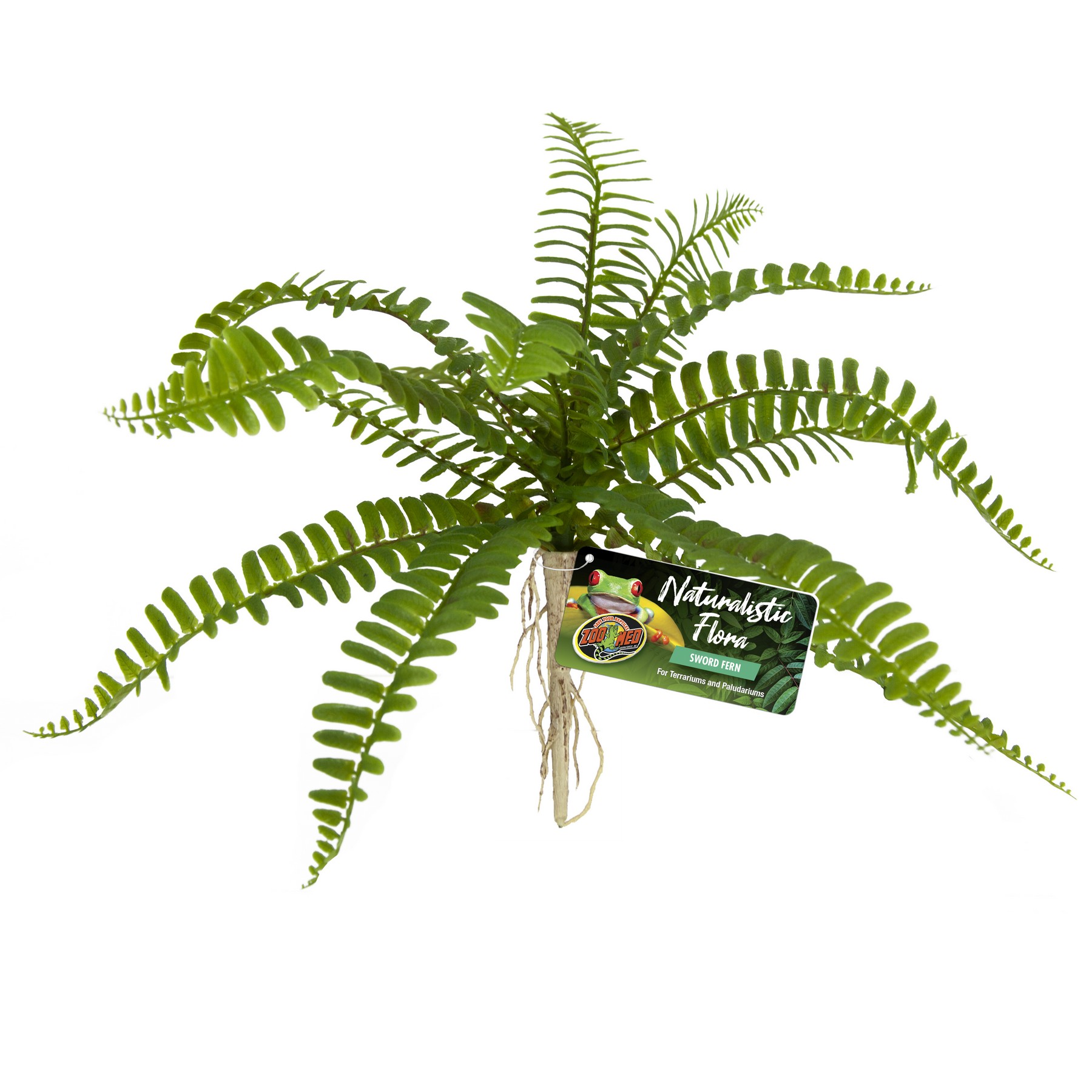 BU-63_Sword-Fern_Front