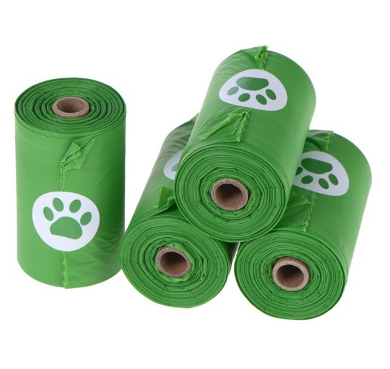 Screenshot 2026-03-16 115518