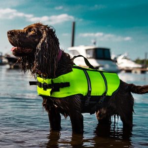 Dogs Buoyancy Aid Life Jackets
