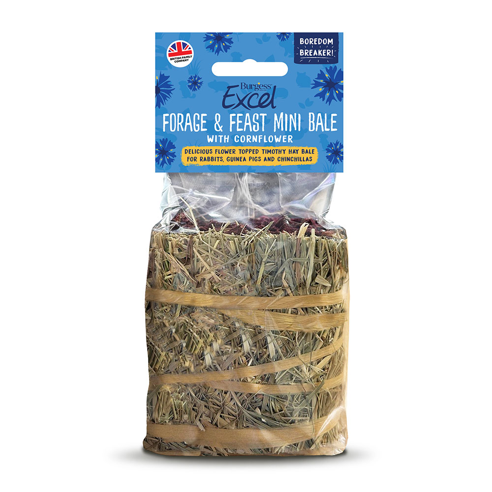 bale cornflour