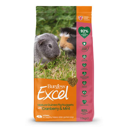 guinea pig mature